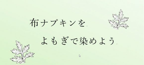 布ナプキンをよもぎで染めよう