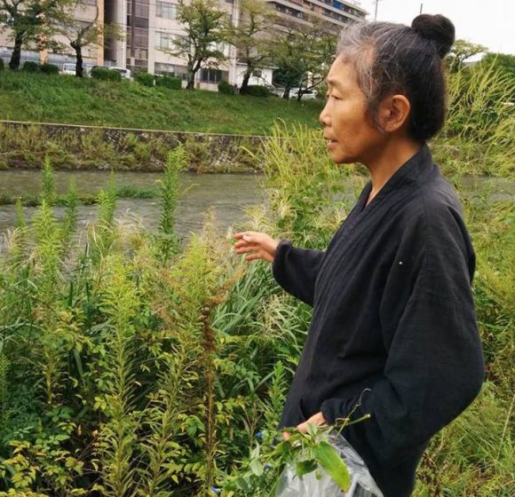 梅雨期の野草料理教室