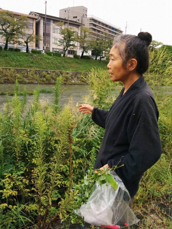 秋の野草料理教室