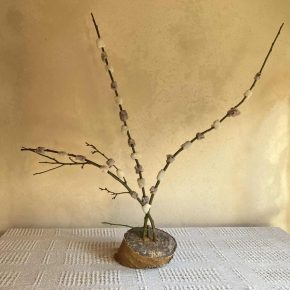 2026年もどうぞよろしくお願いいたします